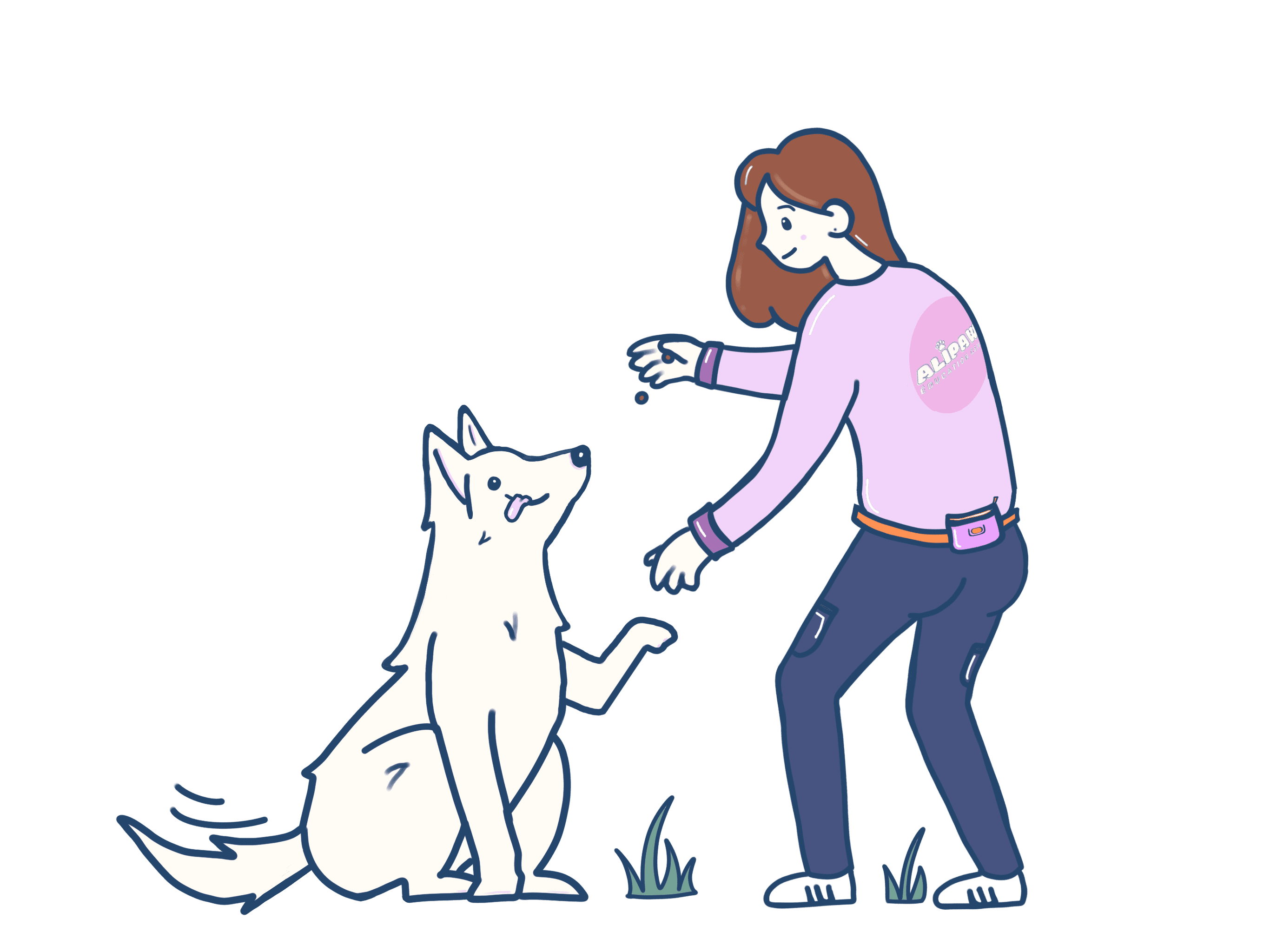 Illustration éducatrice canine entrain de travailler avec son berger blanc suisse